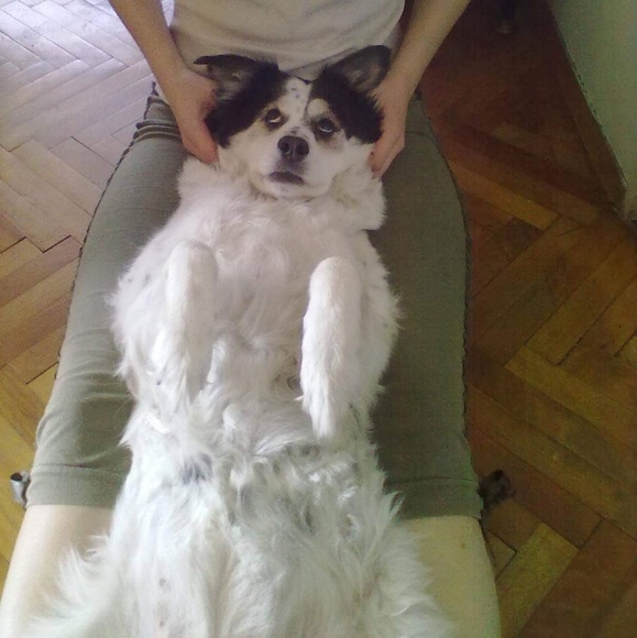 Vesna - Picture 3 of 5